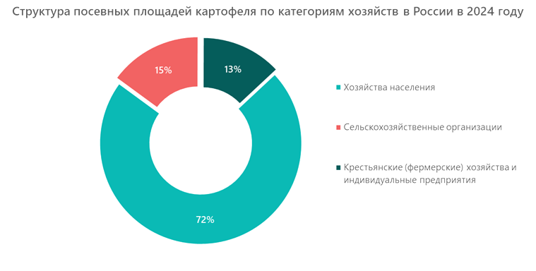 Структура посевных площадей картофеля по категориям хозяйств в России в 2024 году