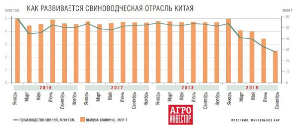 Как развивается свиноводческая отрасль Китая